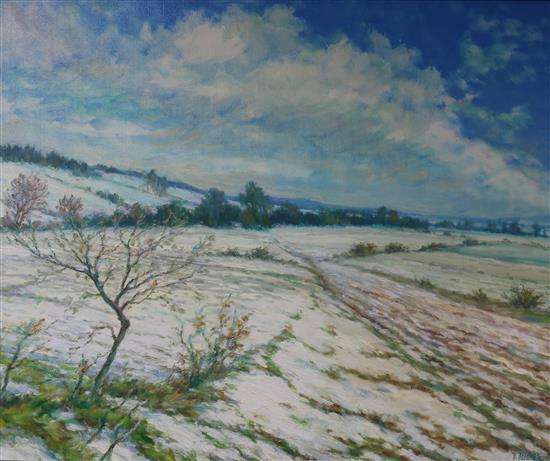 V. Jenicek, oil, Winter landscape, 90 x 74cm